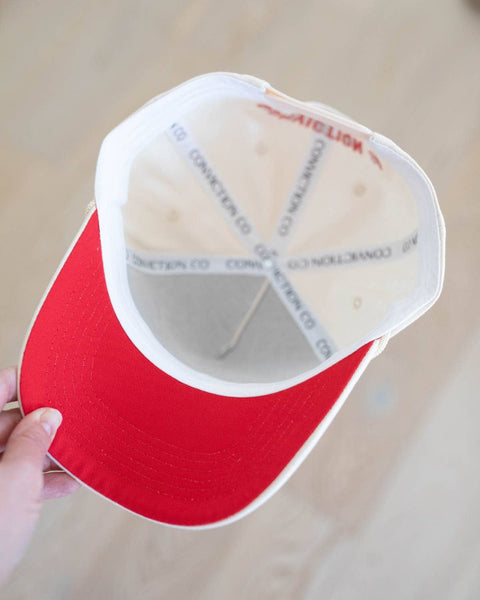 We the People Hat