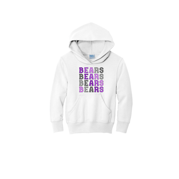 Bears Ombre Youth Hoodie