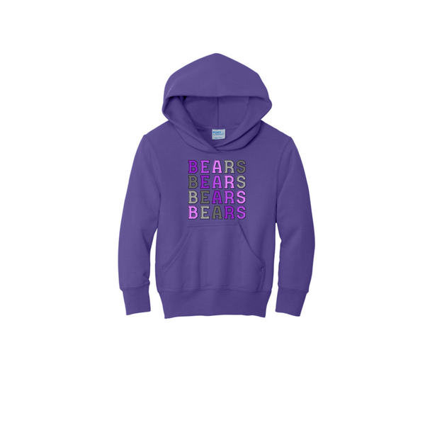 Bears Ombre Youth Hoodie