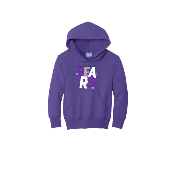 Bears Stacked Youth Hoodie