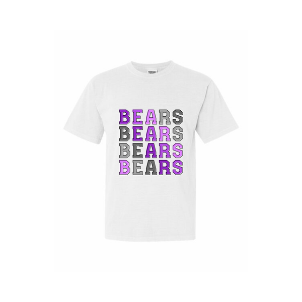 Bears Ombre Adult Tee