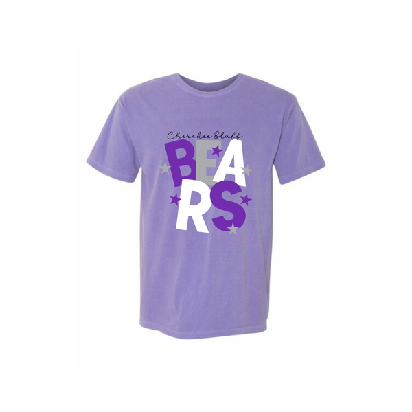Bears Stacked Youth Tee