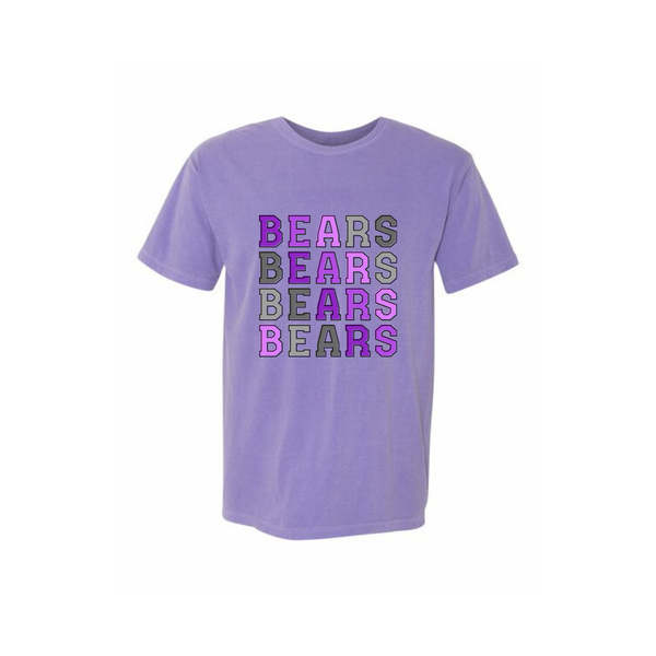 Bears Ombre Adult Tee